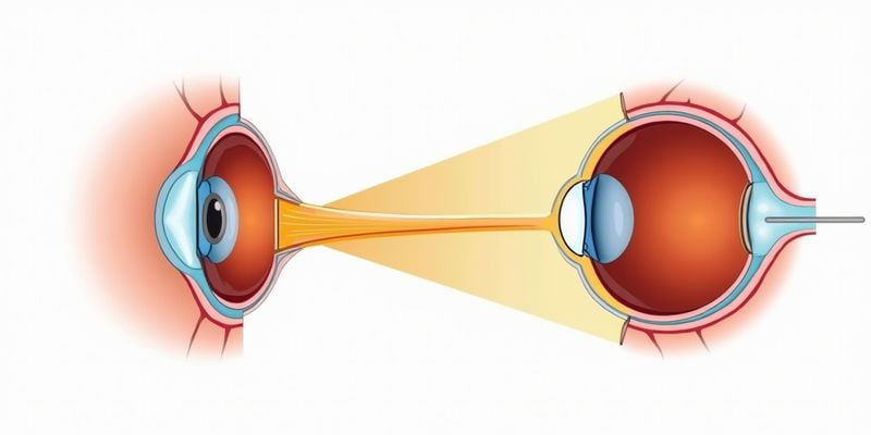 六、蘭州普瑞眼科醫(yī)院交通&政策：去醫(yī)院比想象中方便