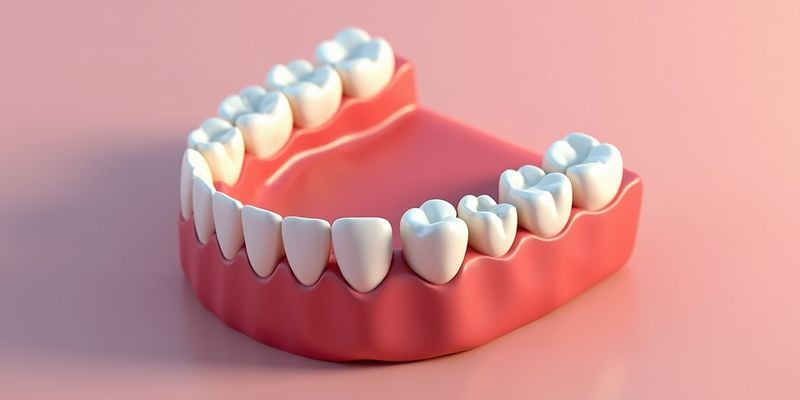 一、宁波诚适口腔的资质与核心优势www.236z.com