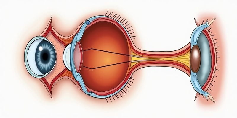 五、避坑指南：桂林愛爾眼科醫(yī)院需要避雷嗎？記住這5句話
