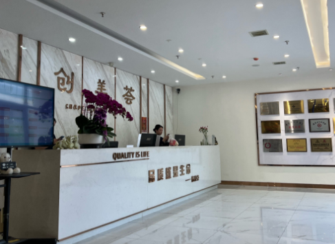 沈陽創(chuàng)美薈醫(yī)療王雷個(gè)人簡歷