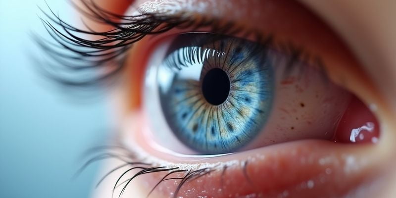 一、ICB00晶體的優(yōu)點