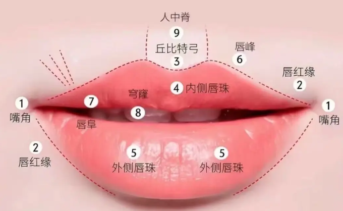 上海做唇部整形好的醫(yī)生