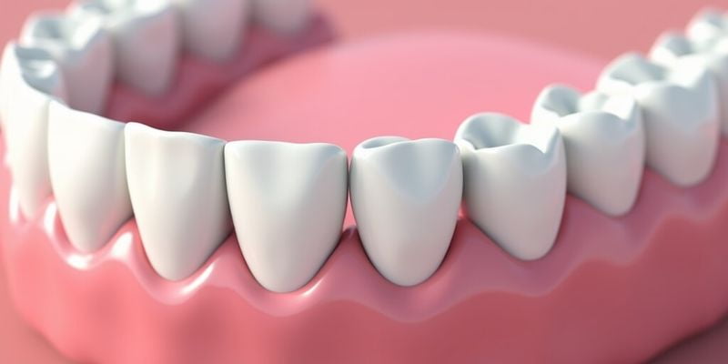 澳醫(yī)星工藝細(xì)節(jié)