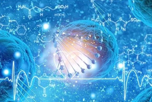 劉文閣醫(yī)生鼻子異物取出實例口碑好