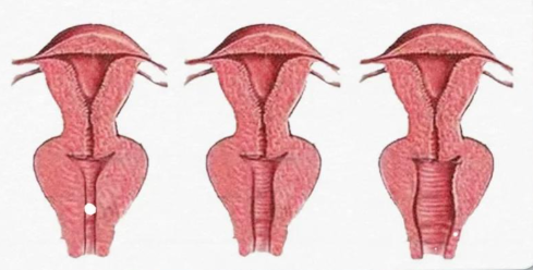 上海緊縮醫(yī)院口碑哪家強