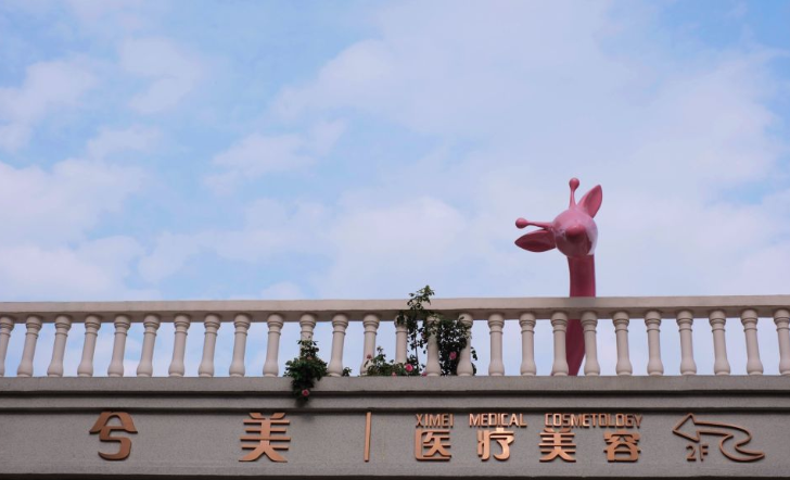 嘉善兮美醫(yī)療美容價(jià)格