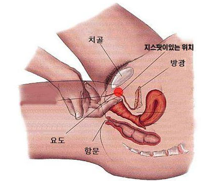 郝衛(wèi)潔醫(yī)生做私密手術(shù)真的很棒