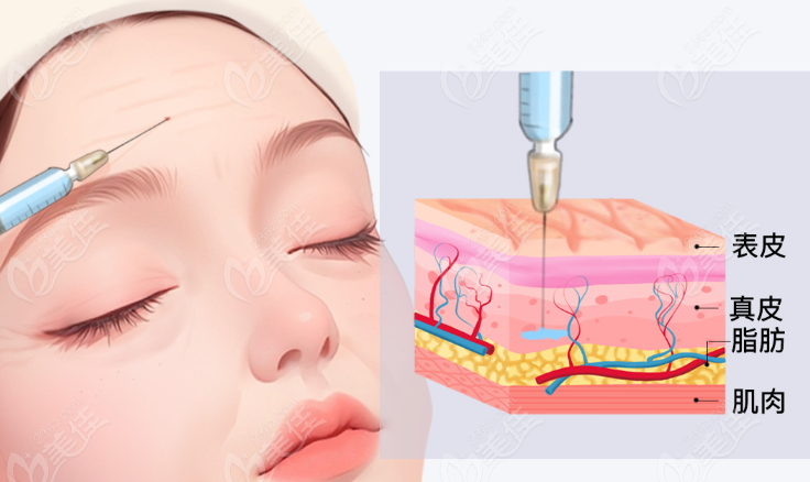 陈旭华医生简介
