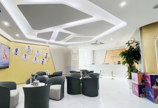 杭州星光麗格形體微雕項目