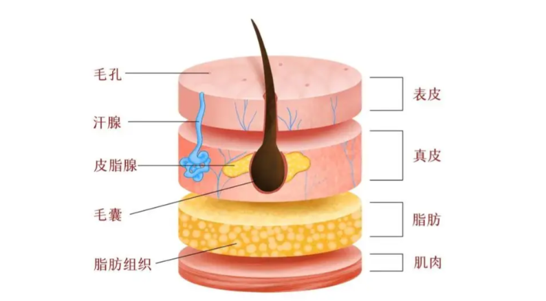 杭州莱一美医疗美容属于什么档次？服务与口碑层面反映的档次