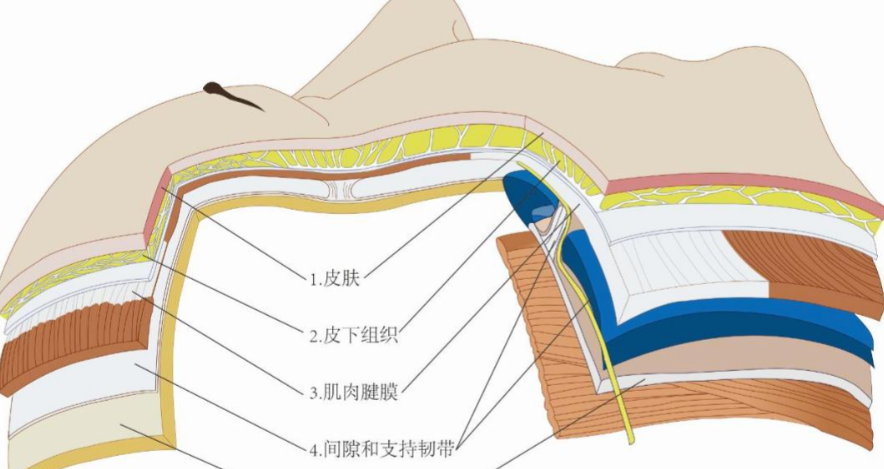 皮贴骨是打的什么针