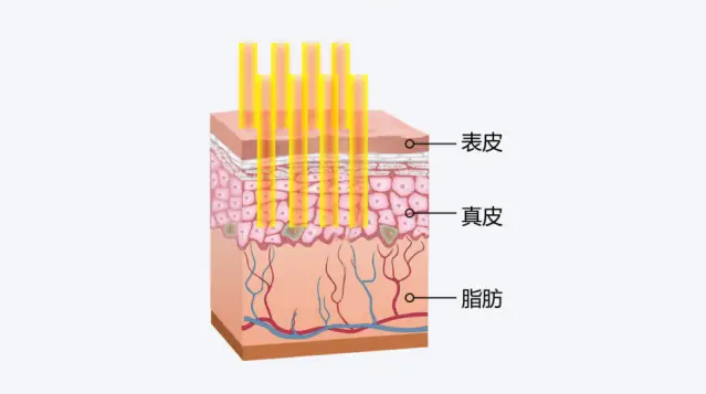 安荃確保：從儀器到操作的全流程把控