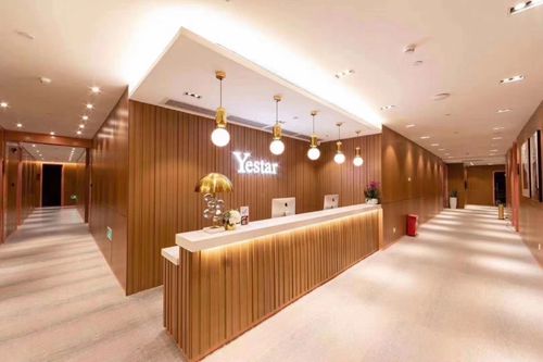 深圳艺星吕瑛个人简历关键信息