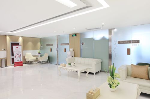 马文足科属于什么档次