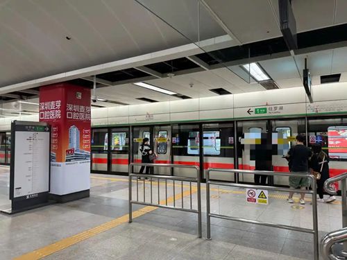 深圳阳光医院在哪个出口下