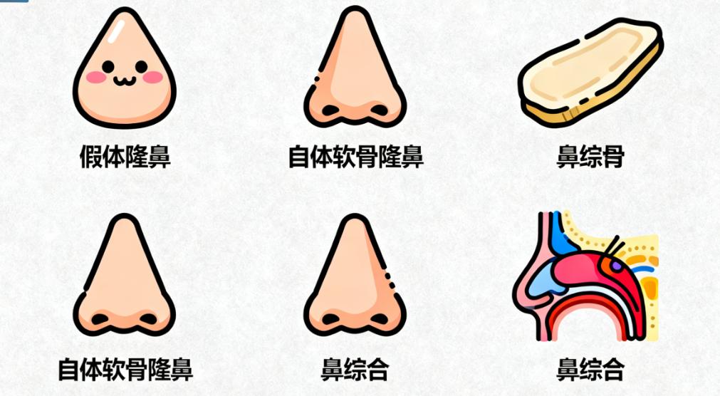 耳软骨鼻