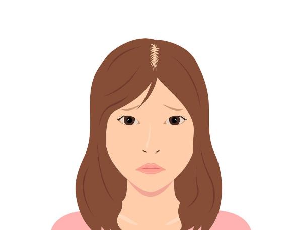 張賀人中縮短價(jià)格信息