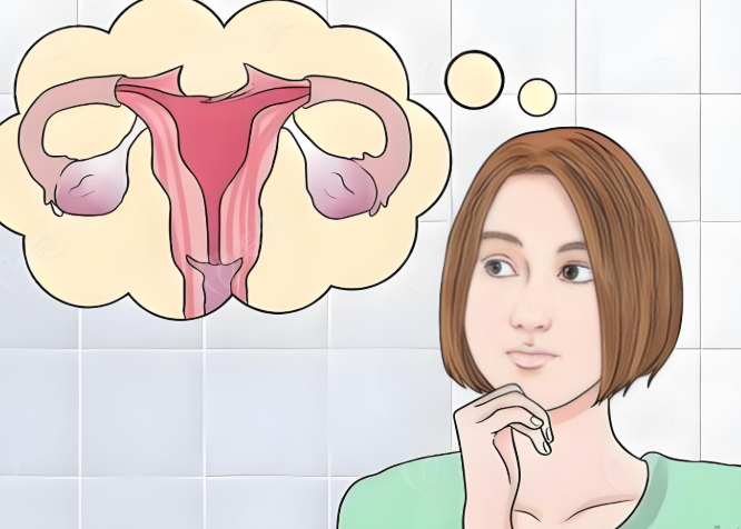 上海美莱袁玉坤私密修复手术价格影响因素