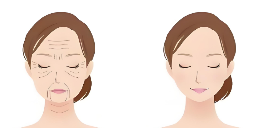 联合丽格和八大处哪个好