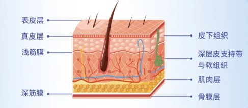 上海袁菊青春焕颜术不坑人
