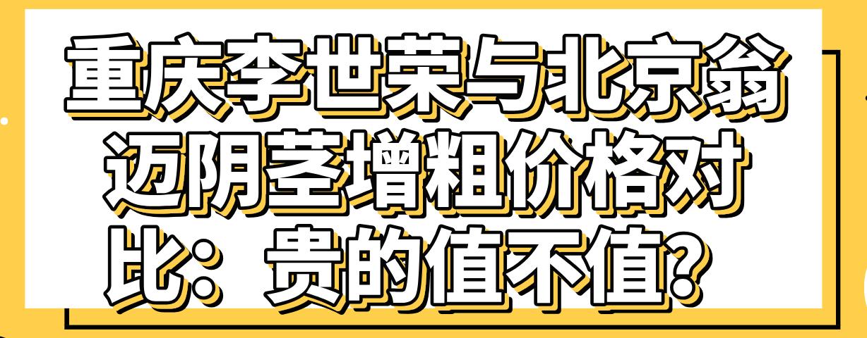 重庆李世荣与北京翁迈阴茎增粗价格对比：贵的值不值？