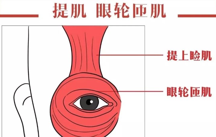 2025年谭章梅医生眼修复价格参考